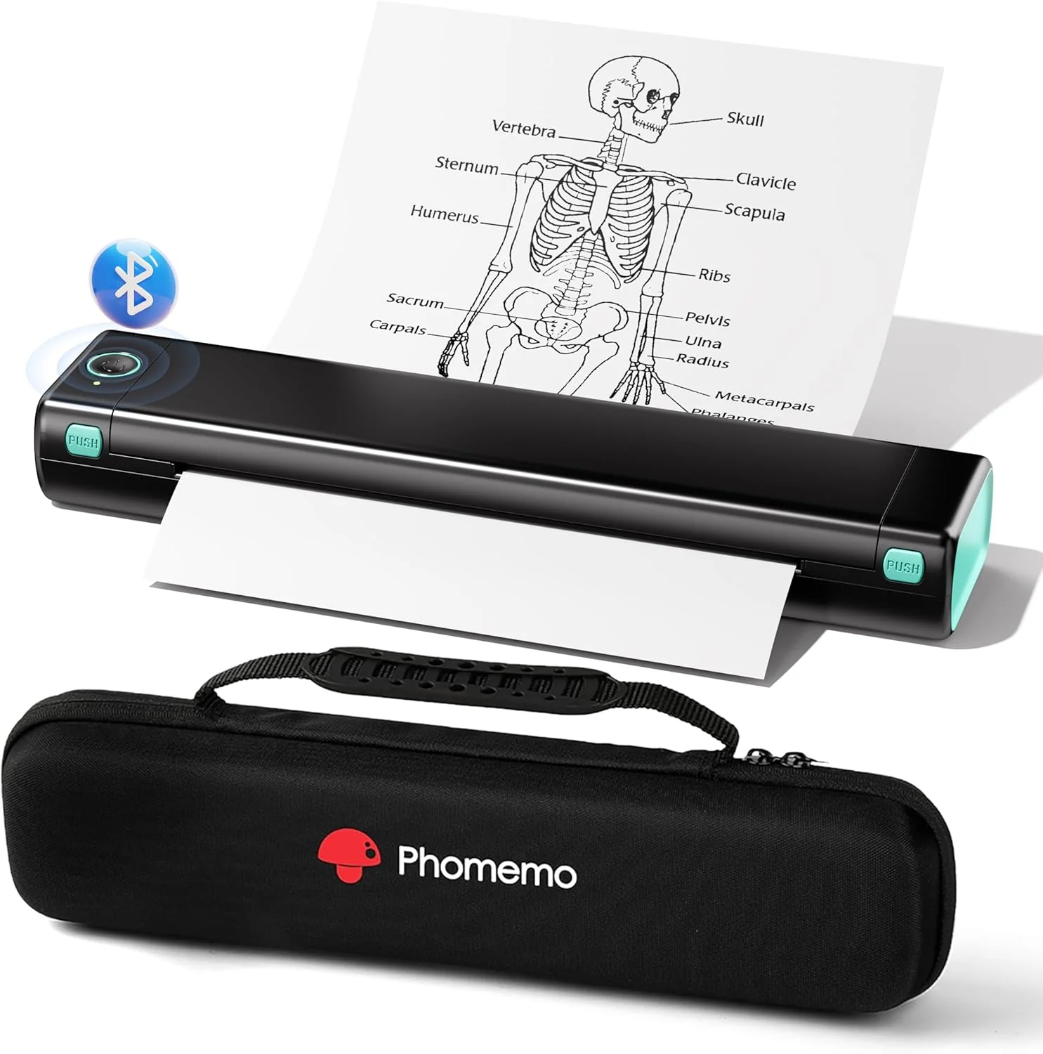 Phomemo Inkless Portable Printer for Travel - Wireless Thermal Printer Compatible with Phone & Laptop, Bluetooth Printers Supports 8.5" X 11" Letter Thermal Paper, Come with Carry Case
